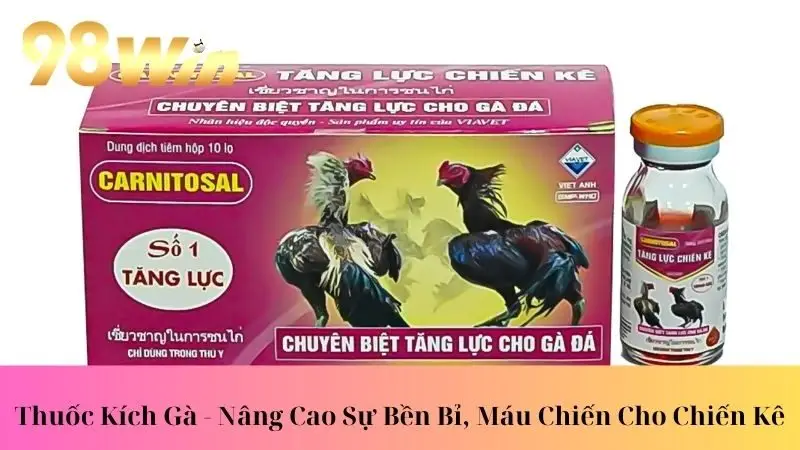 thuốc kích gà năng cao khả năng thắng lớn
